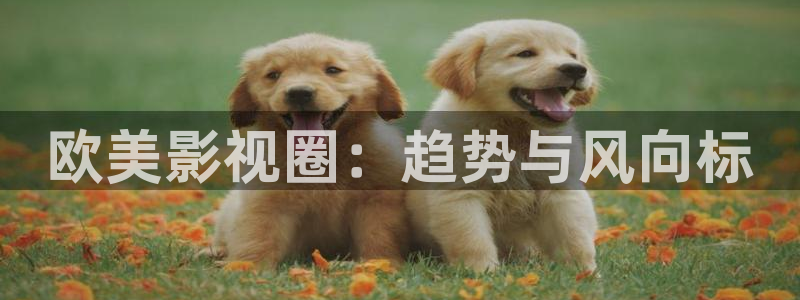 麻豆理论电影在线观看