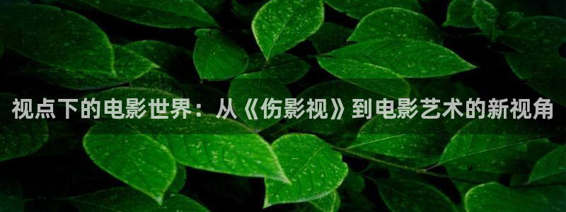 麻豆成人午夜电影：视点下的电影世界：从《伤影视》到电影艺术的新视角